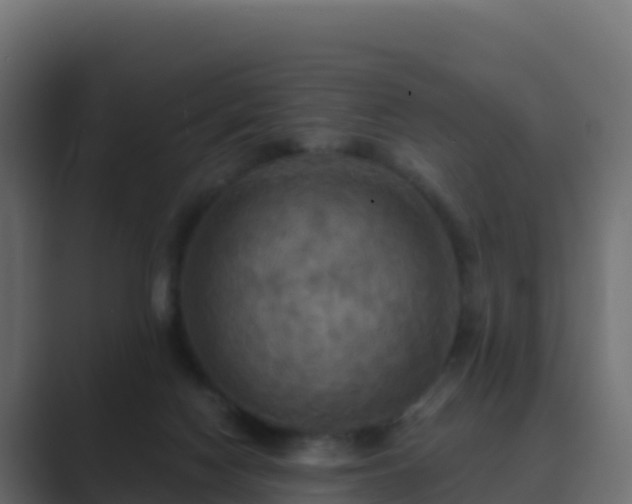 X0000089720074200706281538