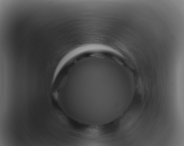 X0000089720076200706281538