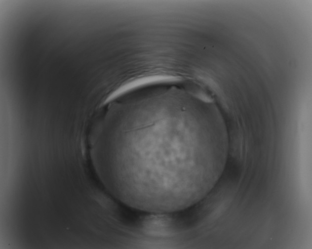 X0000089720077200706281538