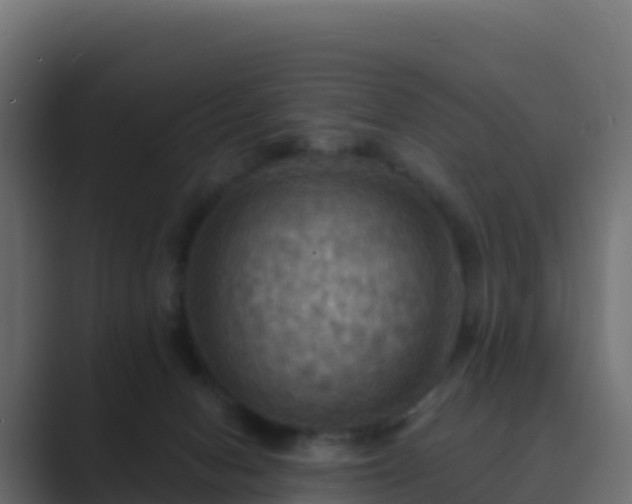 X0000089720078200706281538