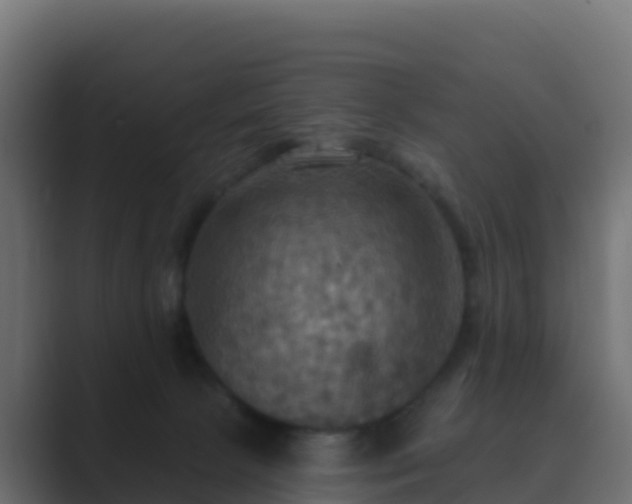X0000089720081200706281538
