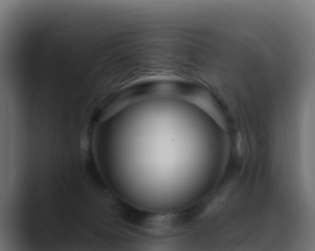 X0000089720084200706281539