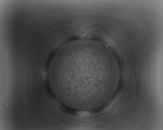 X0000089720085200706281539