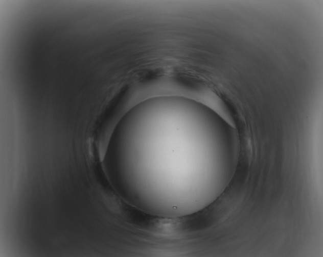 X0000089720088200706281539
