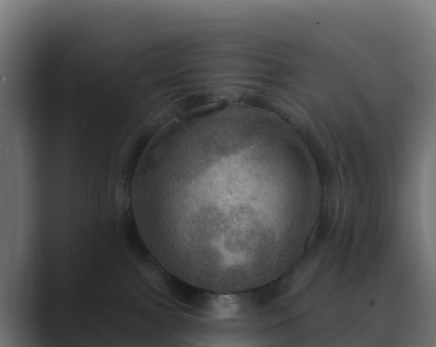 X0000089720091200706281539