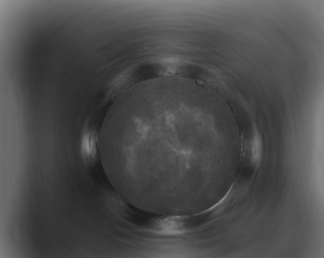 X0000089720094200706281539