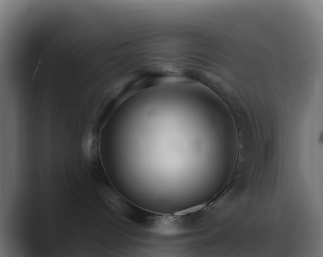 X0000089720096200706281539