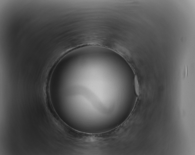 X0000089720098200706281538