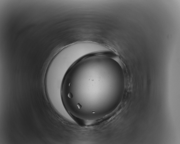 X0000089720099200706281538