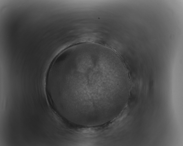 X0000089720100200706281538