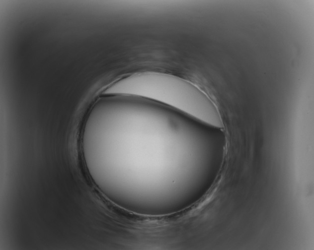 X0000089720101200706281538
