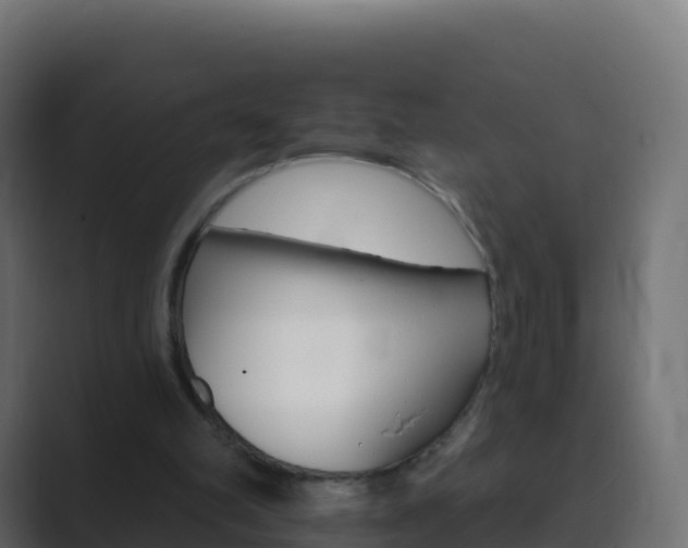 X0000089720102200706281538