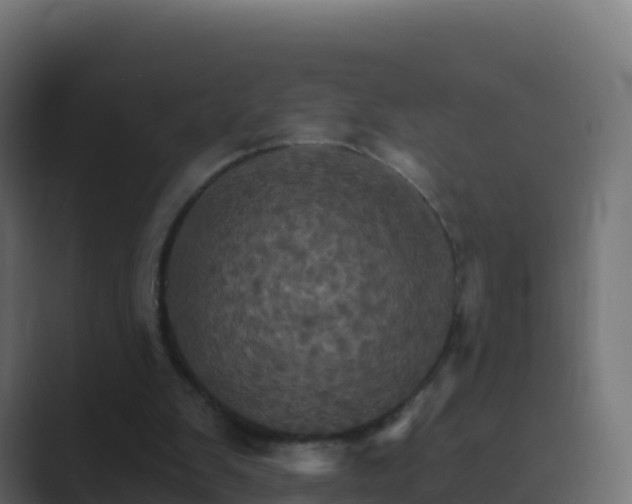 X0000089720103200706281538