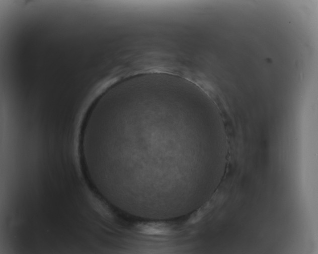 X0000089720104200706281538