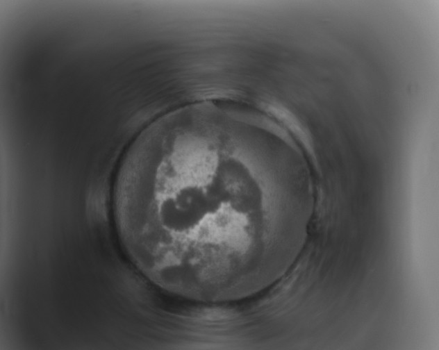 X0000089720107200706281538