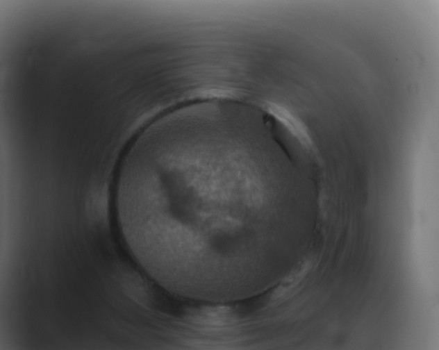 X0000089720108200706281538