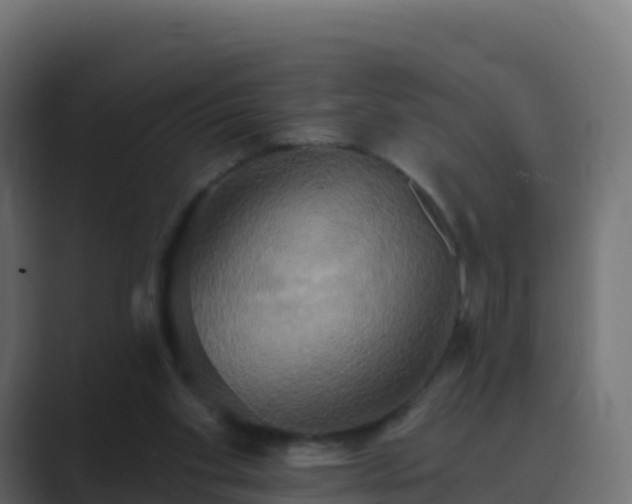 X0000089720109200706281538