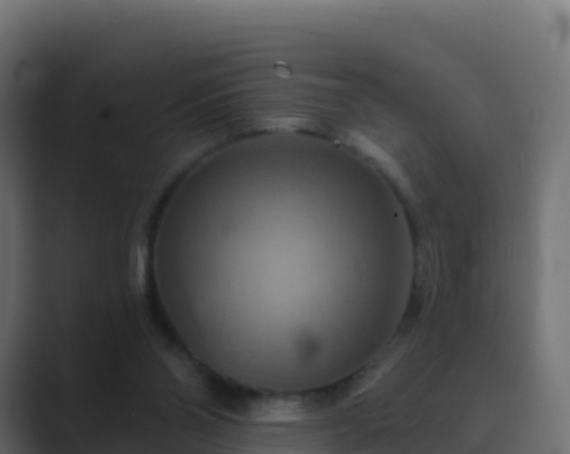 X0000089720110200706281538