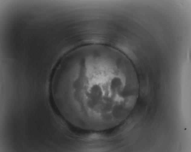 X0000089720111200706281538