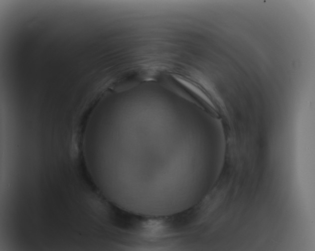 X0000089720114200706281538