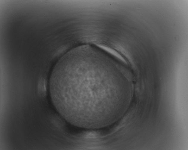 X0000089720115200706281538