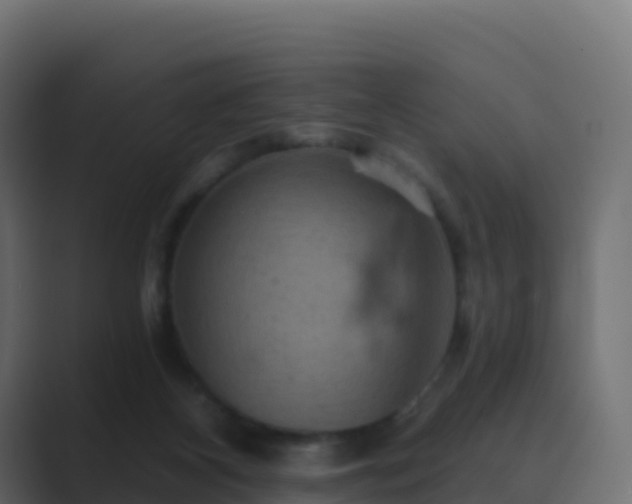 X0000089720116200706281538