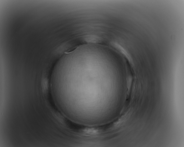 X0000089720117200706281538