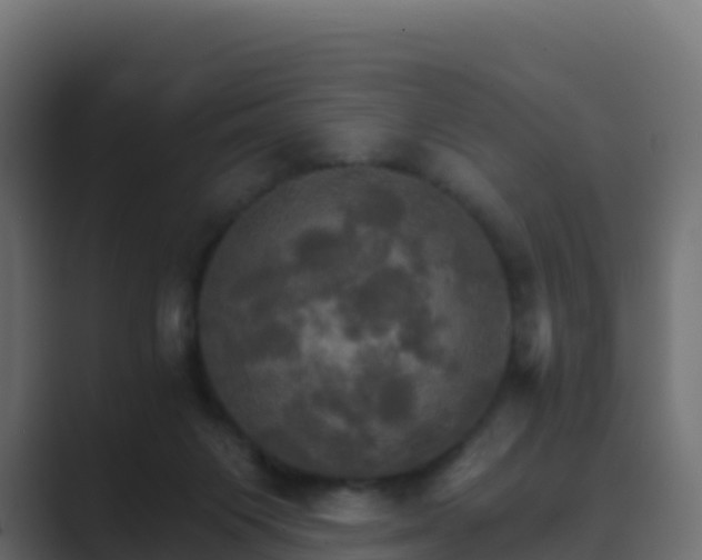 X0000089720119200706281538