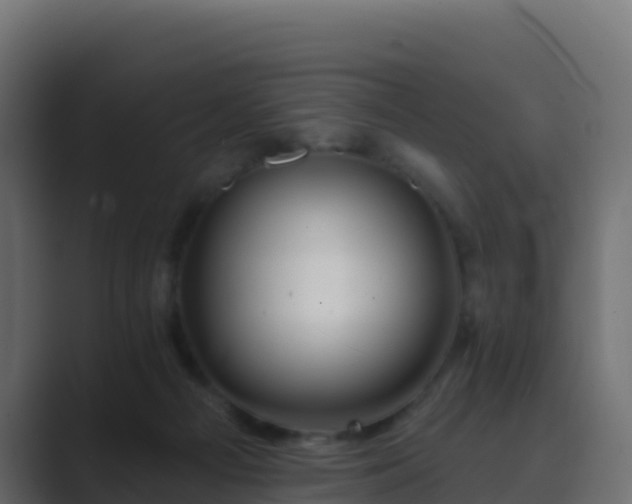 X0000089720121200706281538