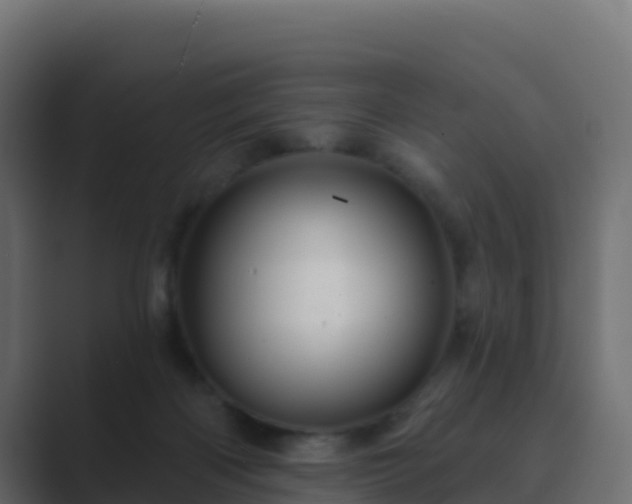 X0000089720122200706281538
