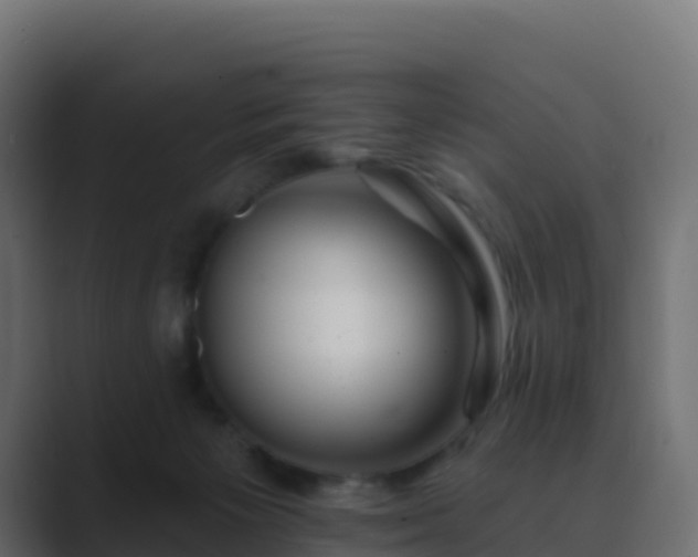 X0000089720125200706281538