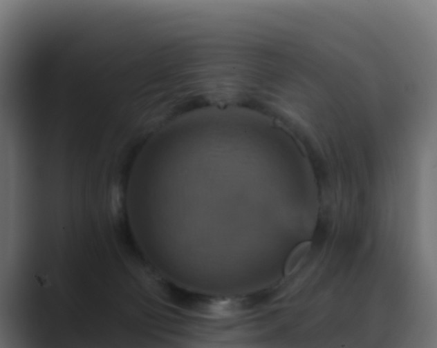 X0000089720130200706281538