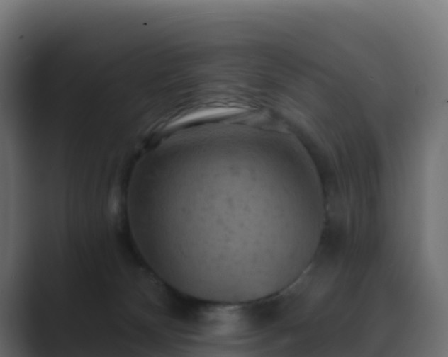 X0000089720132200706281538