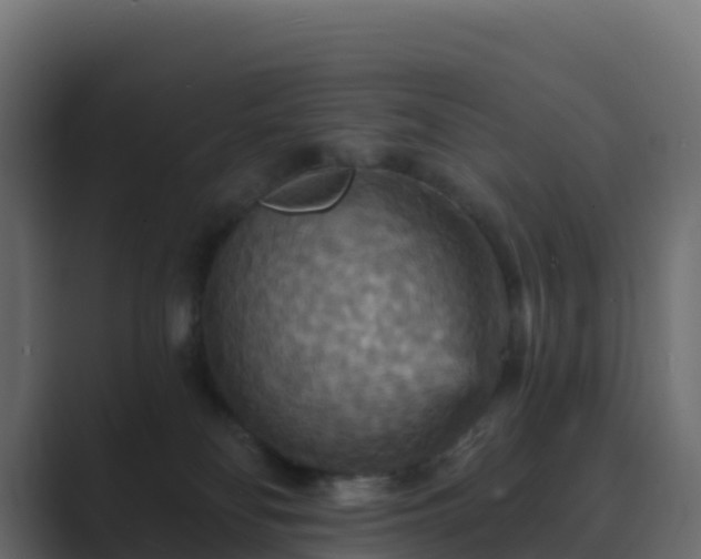 X0000089720134200706281538