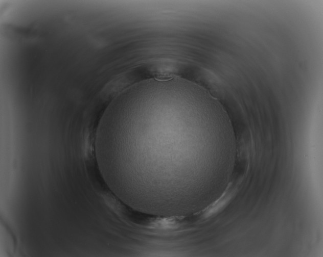 X0000089720140200706281538