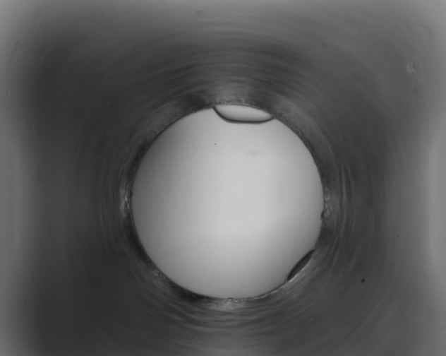 X0000089720142200706281538