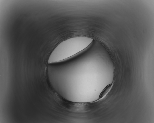 X0000089720144200706281538