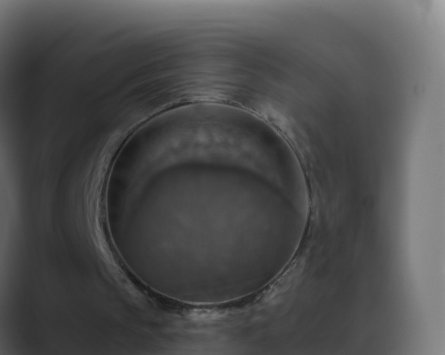 X0000089720145200706281537