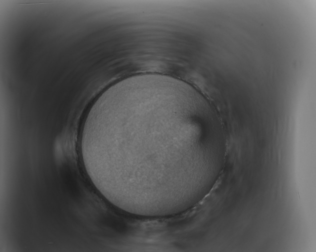 X0000089720146200706281537