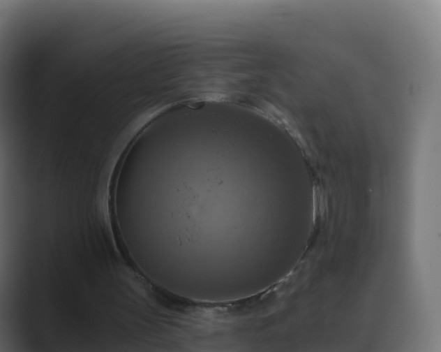 X0000089720147200706281537