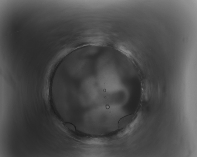 X0000089720149200706281537