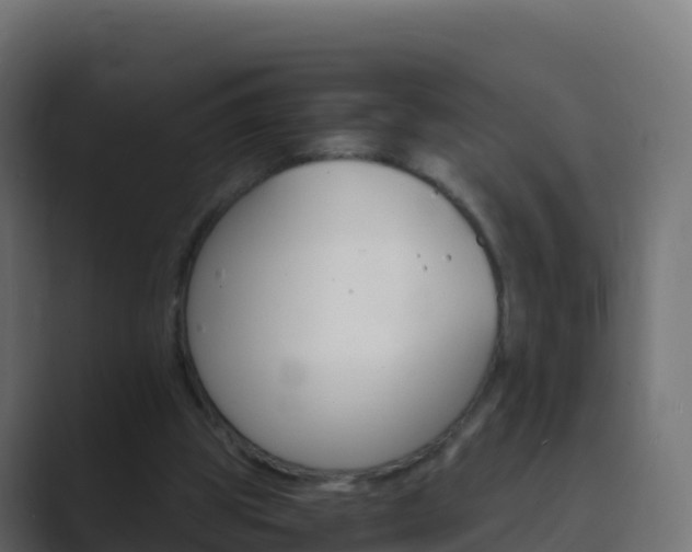 X0000089720153200706281537