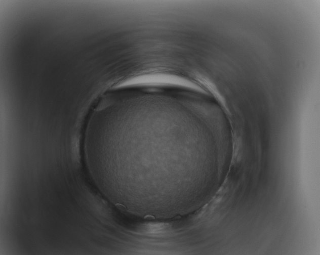 X0000089720154200706281537