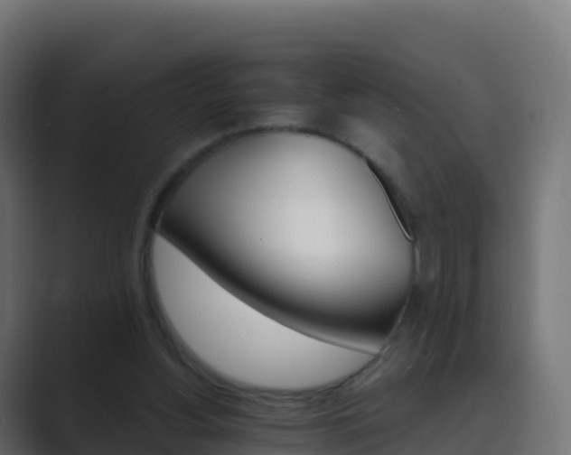 X0000089720156200706281537