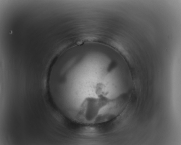 X0000089720159200706281537