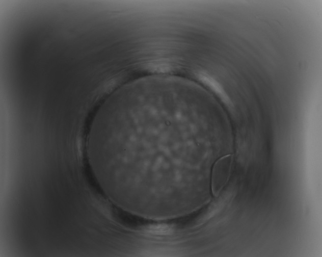 X0000089720161200706281537
