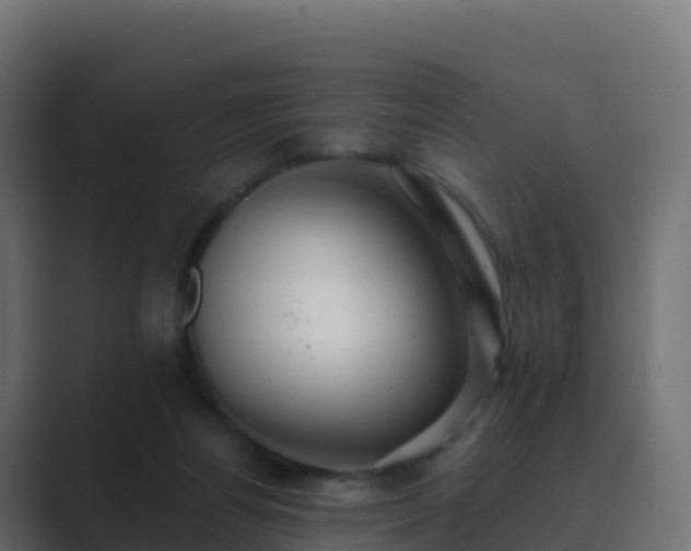X0000089720164200706281537