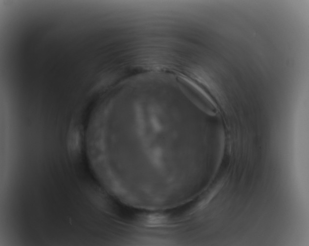 X0000089720165200706281537