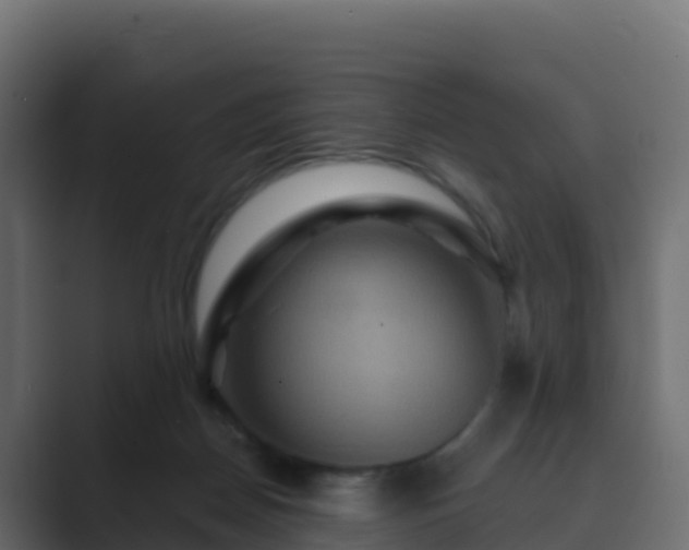 X0000089720170200706281537