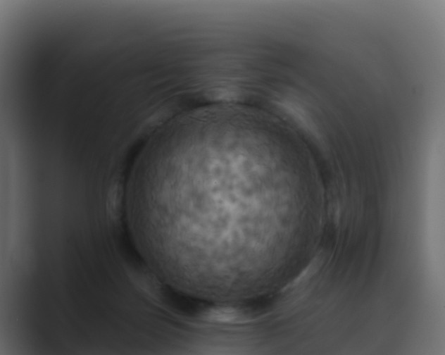 X0000089720171200706281537